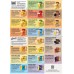 Brick Road Brochures - bundle of 50  (limit of 1x bundle per order)